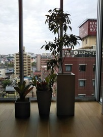 270x360¥Ä¥¿¥ä603