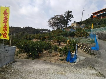 360x270保育園用657