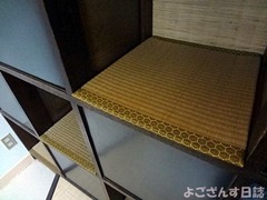 DSC09350