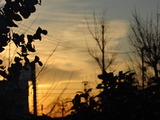 DSC00176