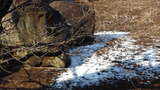 DSC00172