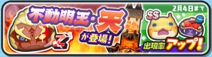 SH019236