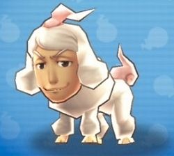 イケメン犬