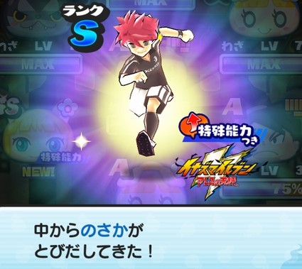 SH017952
