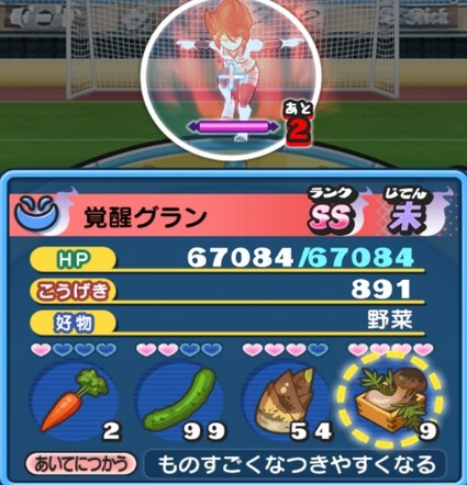 SH013531