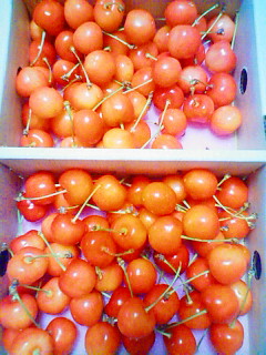 20100630150921