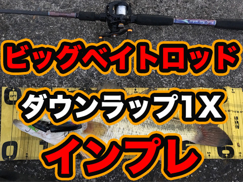 インプレ】ウィットマーダウンラップ 1X 【ビッグベイト・羽根