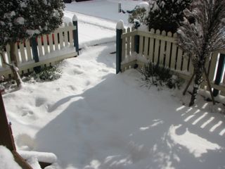 IMG_0580