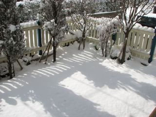 IMG_0579