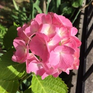 2017-06-22-22-37-28