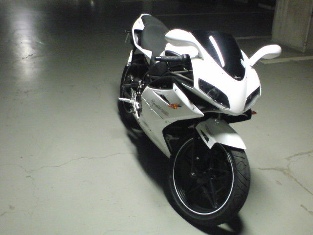 Megelli 250R メガリ250R : ヤングマシン編集部バイクブログ