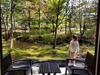 ハーヴェスト