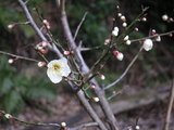 080229