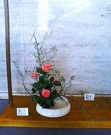 83f495a4.jpg