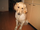9996050c.jpg