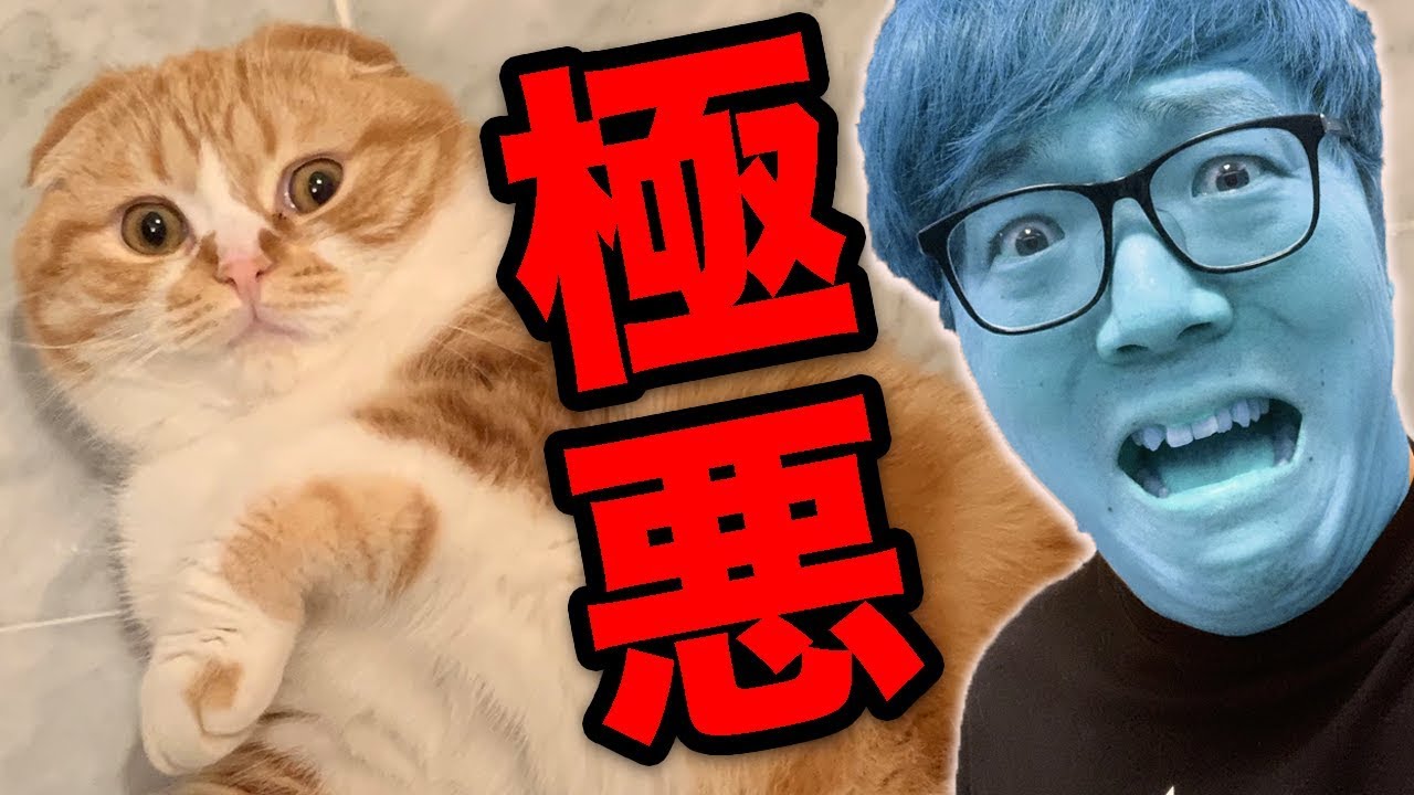 ヒカキン】【ガチ】まるおが本当の悪さをして大変なことになりました… : Youtuberコメ速報