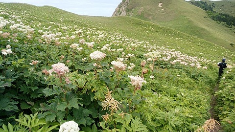 IMG_20160721_102338