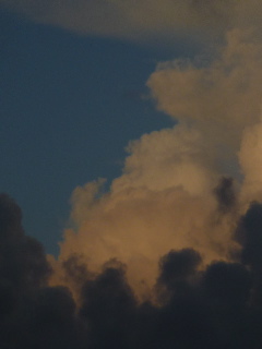 P1020499