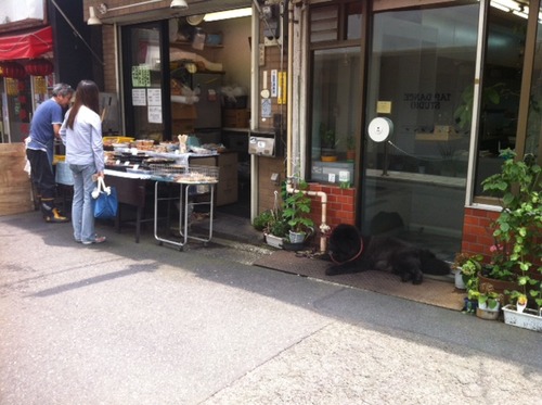 写真 2