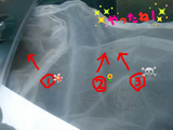 BlogPaint