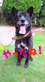 BlogPaint