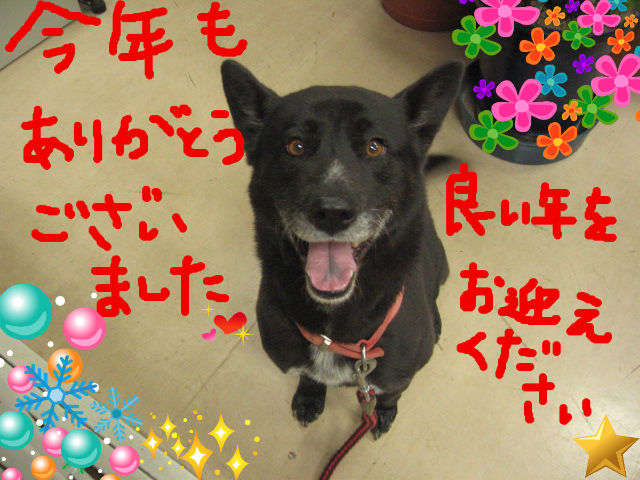 BlogPaint