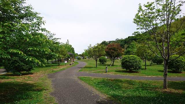 DSC_2761