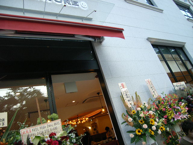 RIMG0551