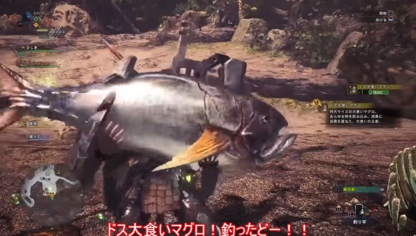 上 ヒレ の キレアジ