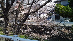 IMG_20170403_103009