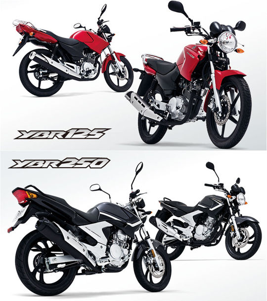 ybr