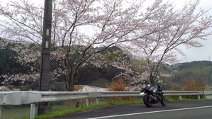 IMG_20170409_085821