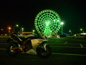 おはようございます・・・