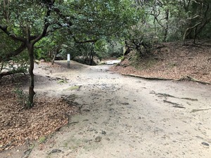 IMG_3265