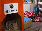 犬小屋