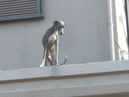 ここがそうか