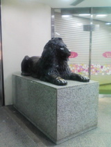50015c31.jpg
