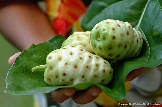 noni