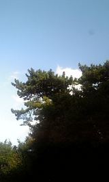 044f6419.jpg