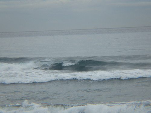 IMGP3241