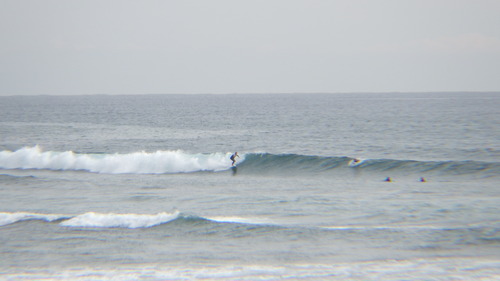 RIMG0888