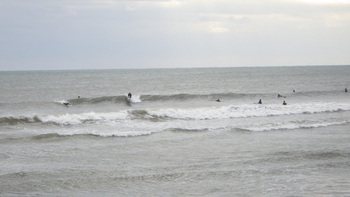 RIMG0853