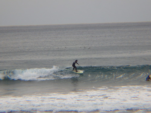 IMGP9409