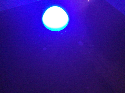 IMGP3938