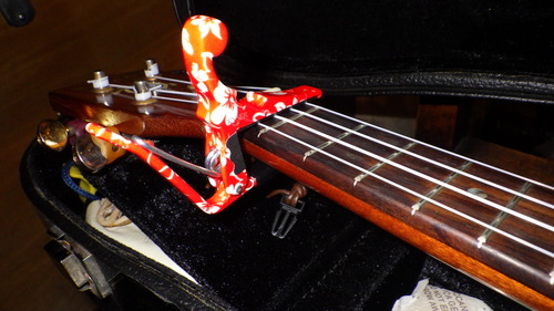 RIMG0632