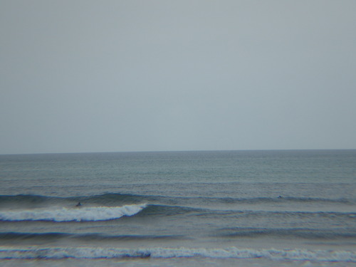 IMGP7380