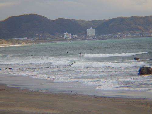 IMGP8429