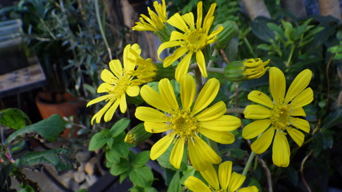 RIMG0574