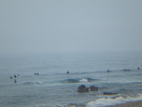 IMGP6131