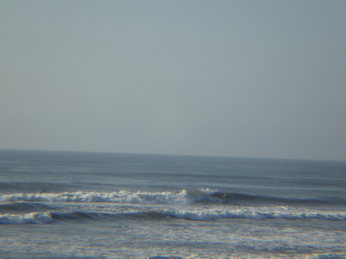 IMGP6808